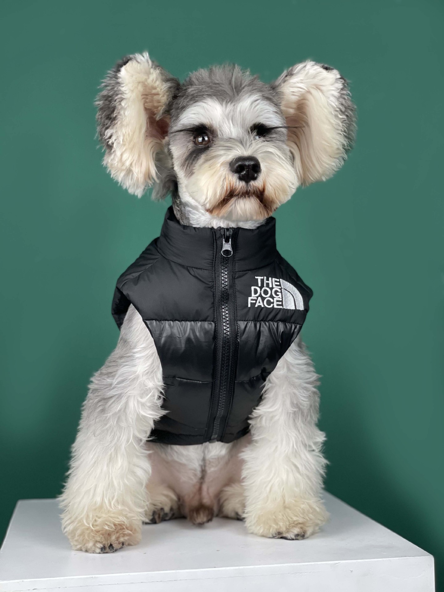 개 얼굴 방수 애완 동물 강아지 겨울 따뜻한 럭셔리 다운 재킷 파카 코트 퍼퍼 조끼 개 옷
