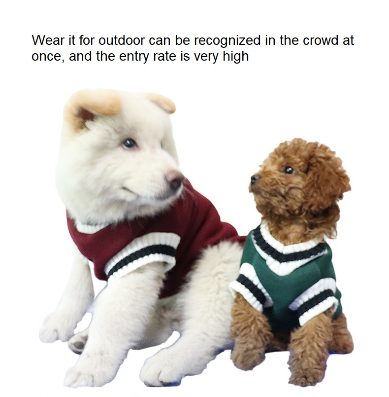 테디 고양이 양털 따뜻한 스포츠 겨울 럭셔리 클래식 캐시미어 니트 코튼 애완 동물 작은 개를위한 빈 개 스웨터 옷