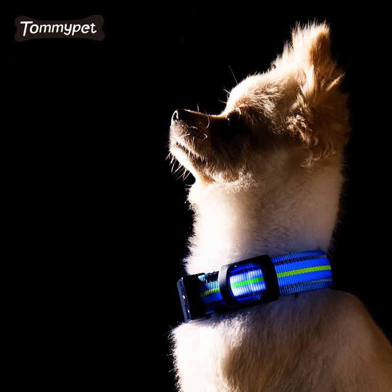 2021 야간 안전 깜박임 어둠 속에서 빛나는 방수 반사 나일론 애완 동물 LED 개 목걸이
