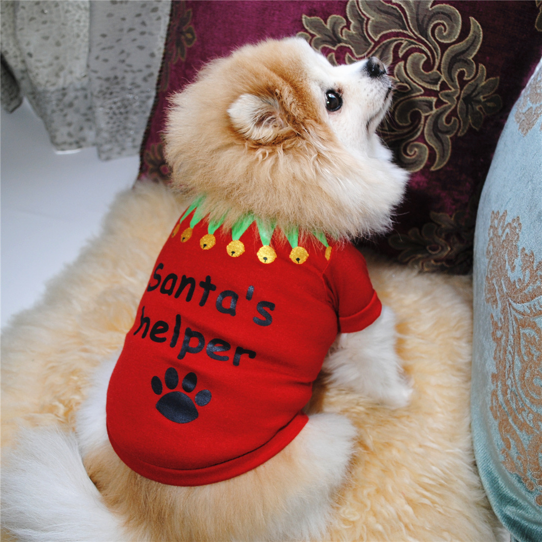 Ropa de mascotas 고양이 여름 의류 고양이 티셔츠 강아지 강아지 작은 애완 동물을위한 크리스마스 옷