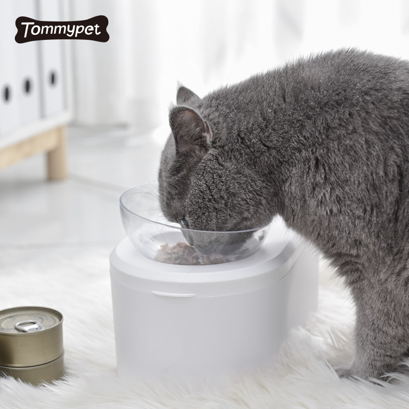 15도 베벨 미끄럼 방지 애완 동물 피더 더블 물 그릇 목 보호 고양이 그릇