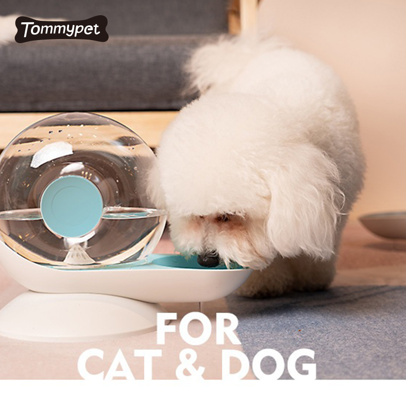 고양이와 개를위한 도매 사용자 정의 새로운 디자인 자동 고양이 분수 피더 애완 동물 물 디스펜서